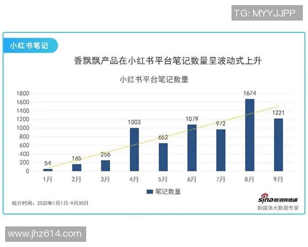 上海网球队的转型之路与杯赛征程的深度剖析与展望